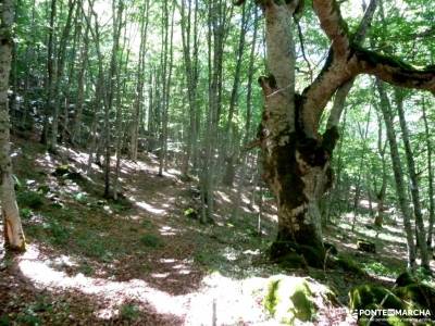 Sedano,Loras-Cañones Ebro,Rudrón;nacimiento del rio cuervo cuenca mapas de rutas municipios de seg